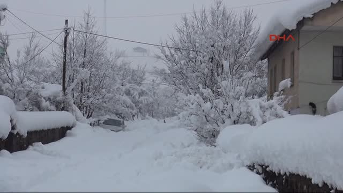 Bitlis\'te 350 Köy Yolu Ulaşıma Kapandı, Okullar Tatil Edildi