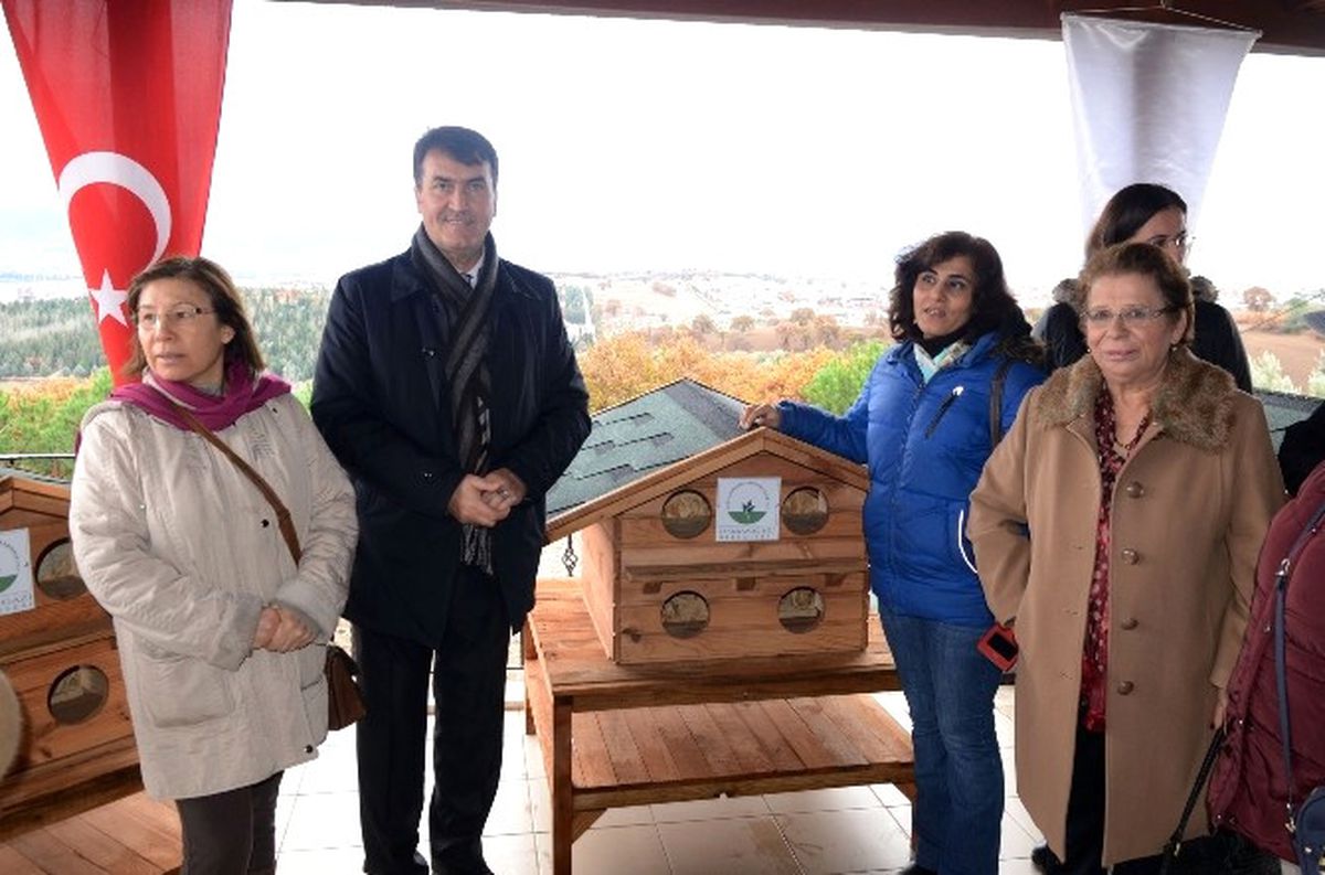 Bursa\'da Sokak Kedilerine Dondurucu Soğukta Sıcak Yuva