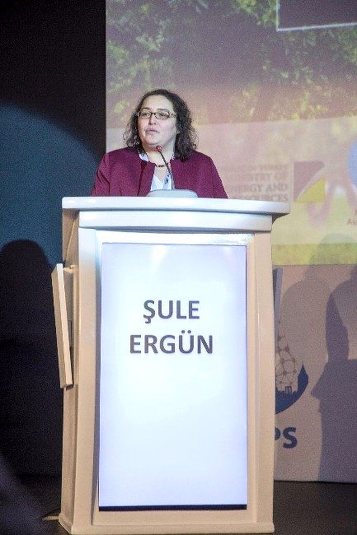 Doç. Dr. Şule Ergün: "Nükleer\'den Ekonomiye 10 Milyar Dolarlık Doping"