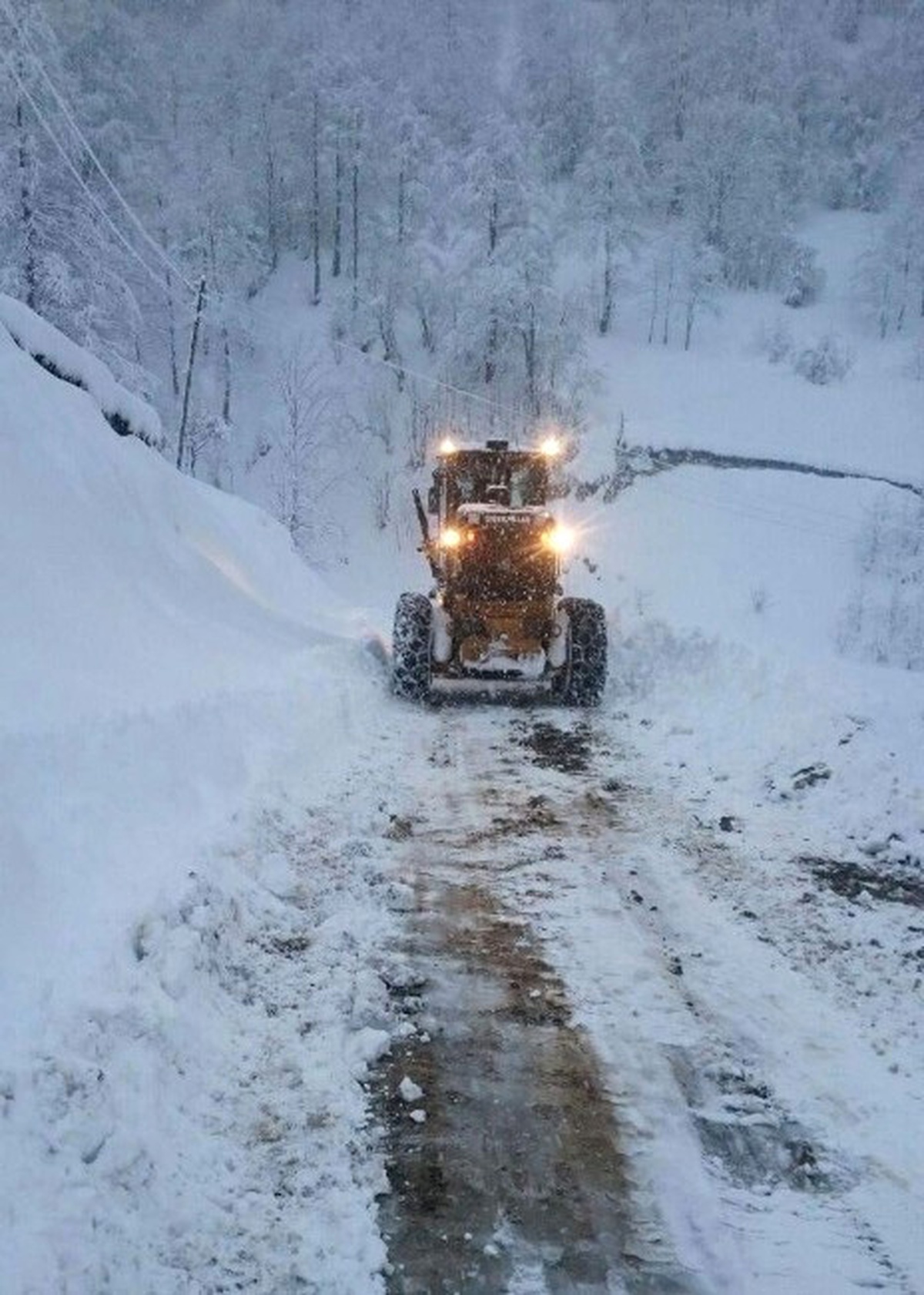 Doğu Karadeniz\'de Soğuk Hava Yaşamı Olumsuz Etkilemeye Devam Ediyor