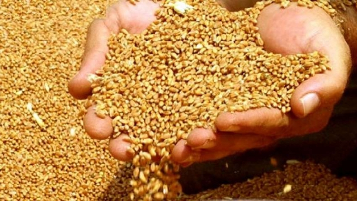 Edirne Ticaret Borsası