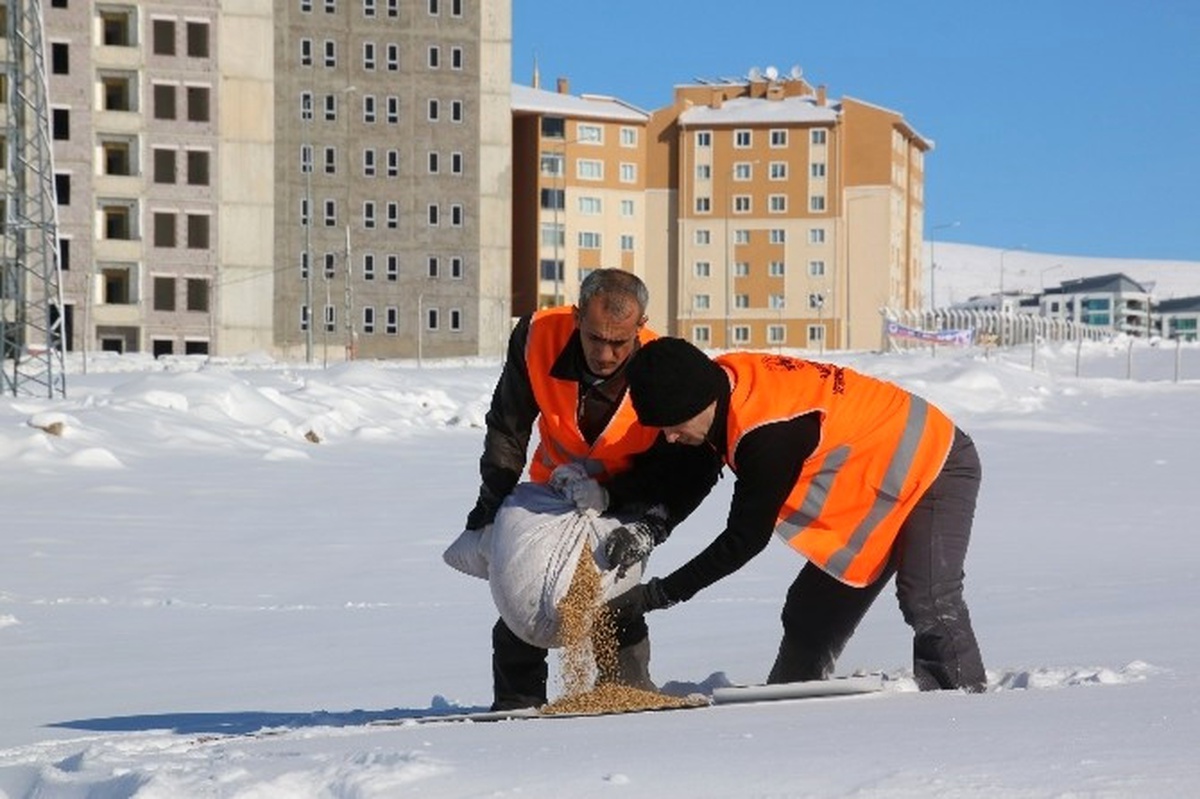 Elazığ\'da Kuşlar İçin Doğaya Yem Bırakıldı