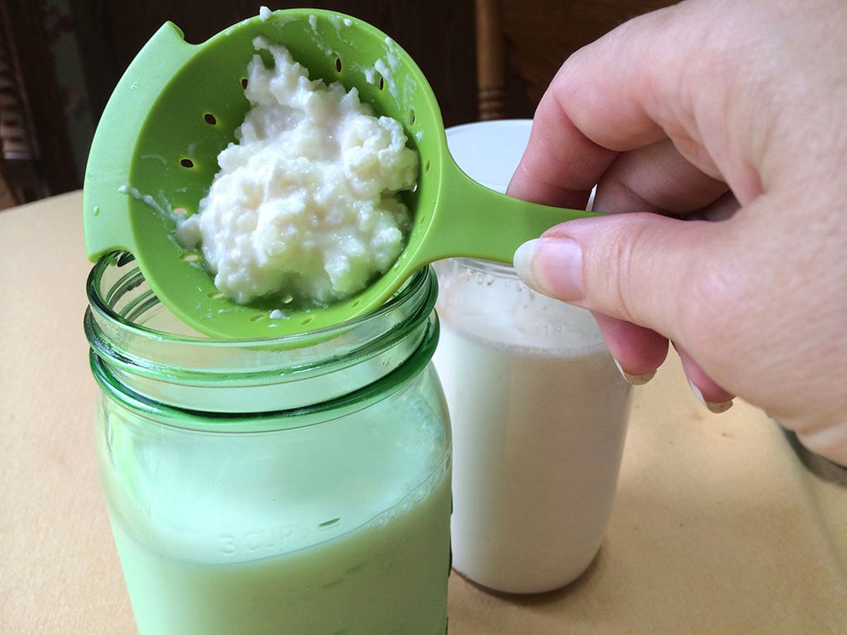 Gençlik iksiri mucizevi içecek kefir