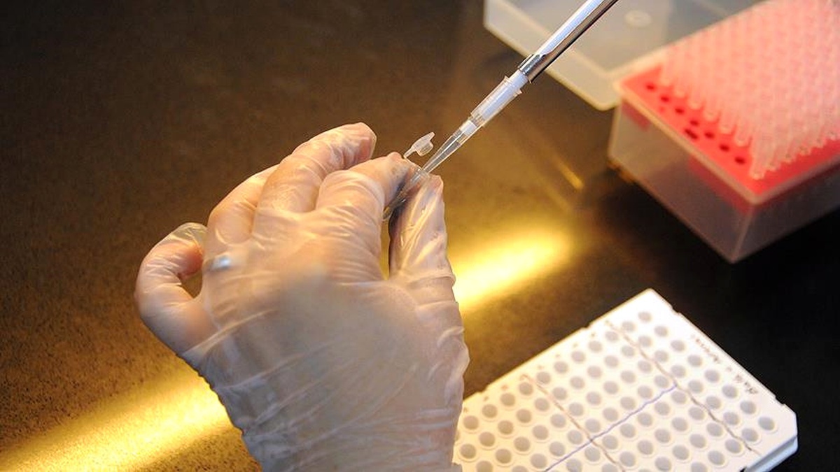Kalp Atışlarını Düzenleyen Hücreler Geliştirildi