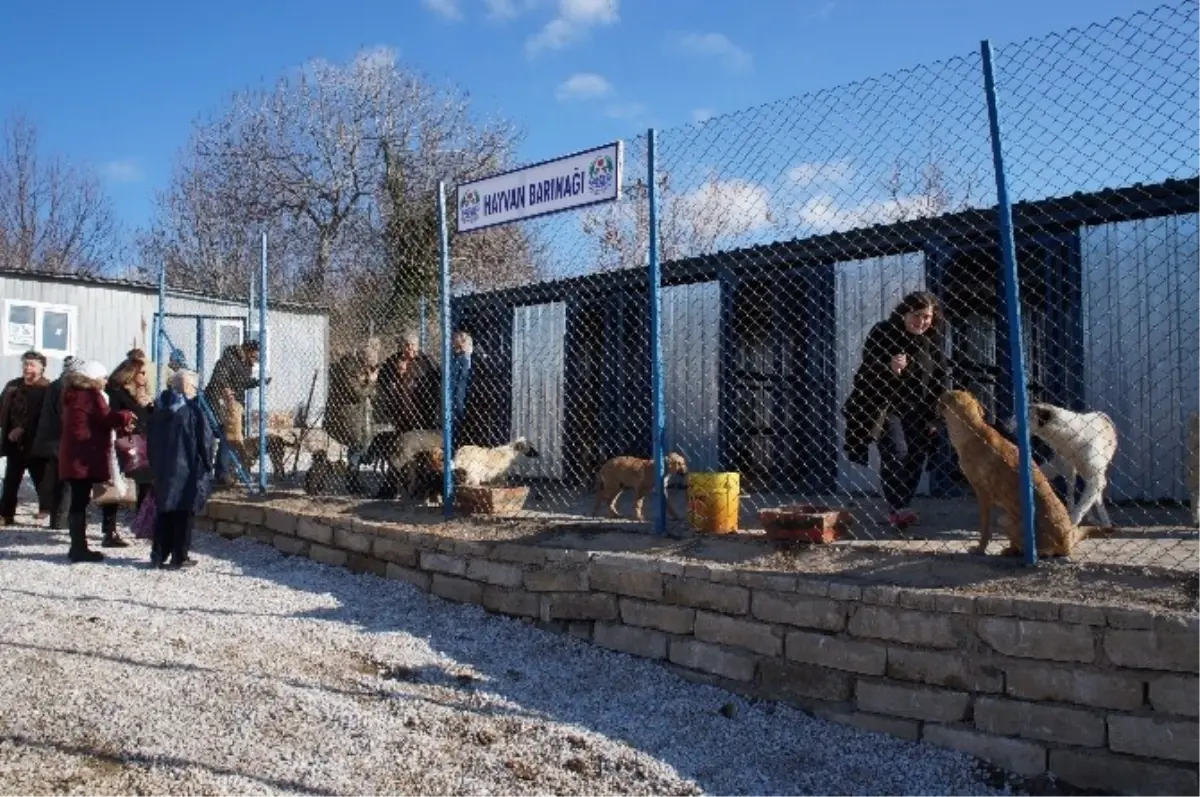 Lapseki Hayvan Barınağı Açıldı
