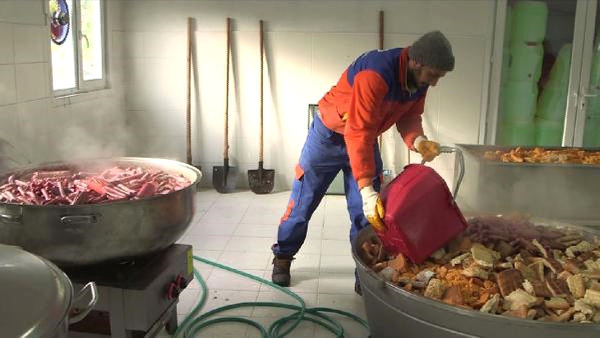Sevimli Dostlar İçin Hergün 4 Ton Yiyecek Hazır