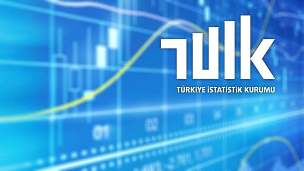 Tüik, Sosyal Koruma İstatistiklerini Açıkladı