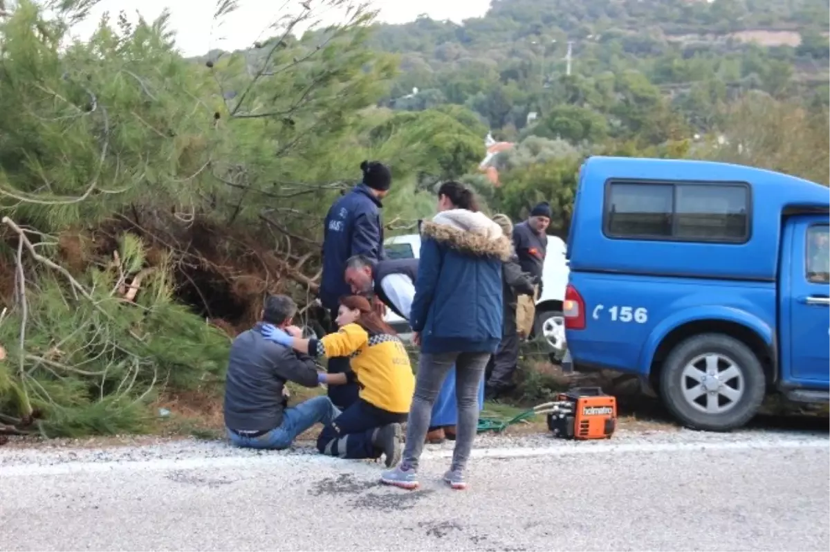 Aracı Ağaçların Arasına Saplandı, 2 Saat Kurtarılmayı Bekledi