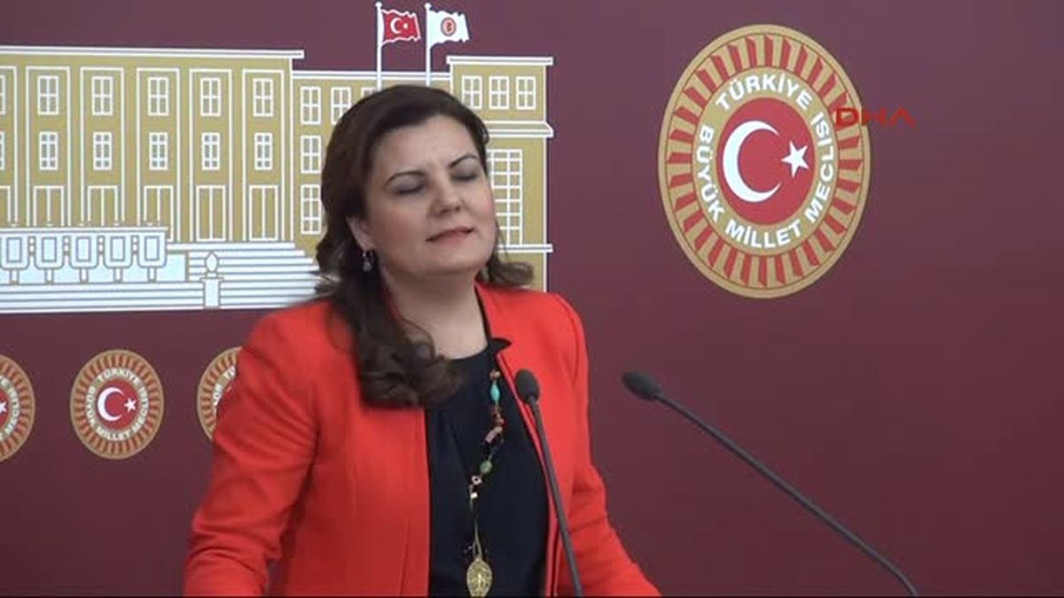 CHP\'li Fatma Kaplan Hürriyet : Kitabın Orjinali Meclis Kütüphanesi\'nden Çıktı
