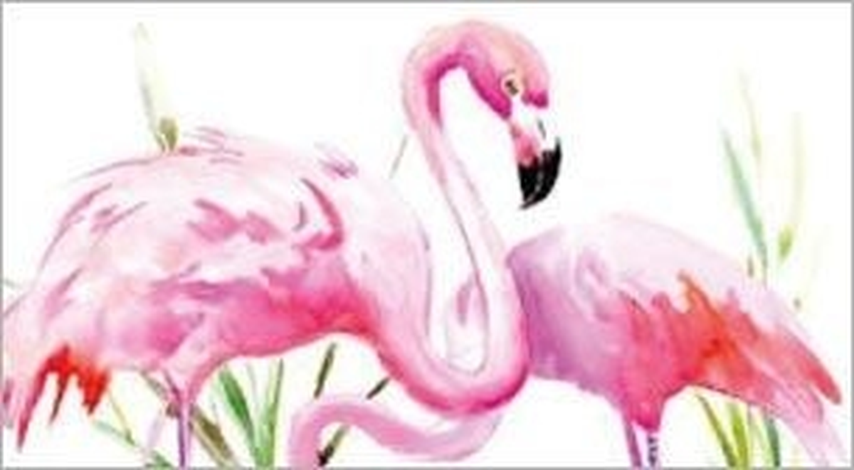 Fırça Sende - Flamingo