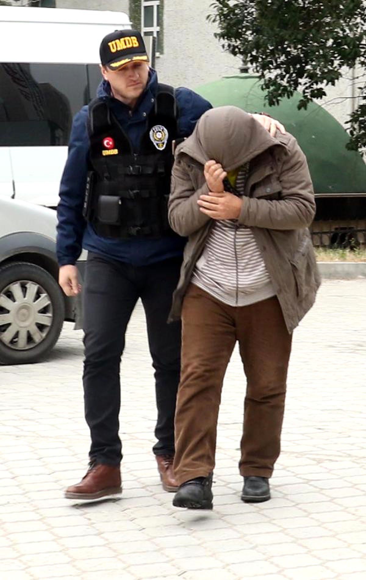 Külodundan Bonzai Çıktı