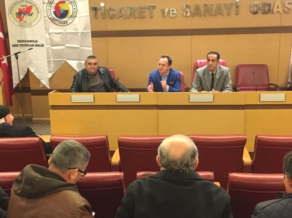 Süt Sığırlarında Kızgınlık ve Döl Verimi Sorunları