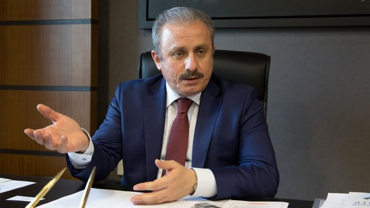 Yeni Anayasa ve Hükümet Sistemi"