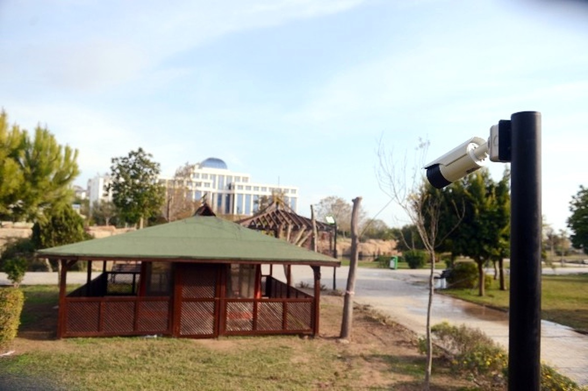 Antalya\'da Kedi Ölümlerine Kameralı Önlem