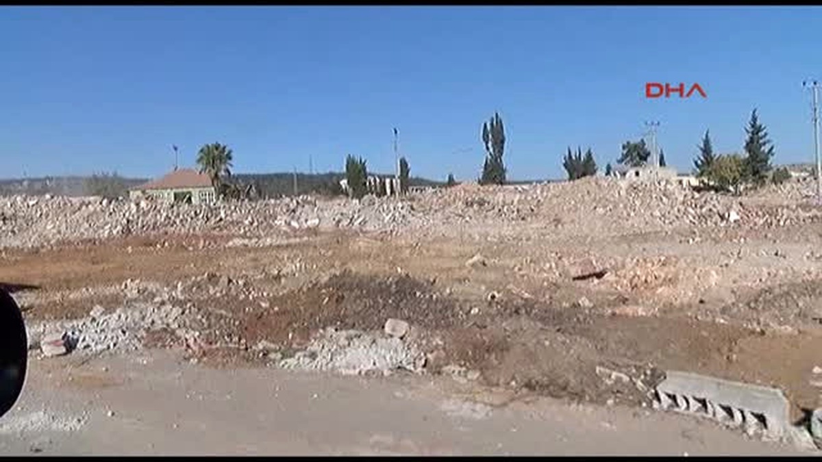 Antalya Kentsel Dönüşüm Yüzlerce Kediyi Sokakta Bıraktı
