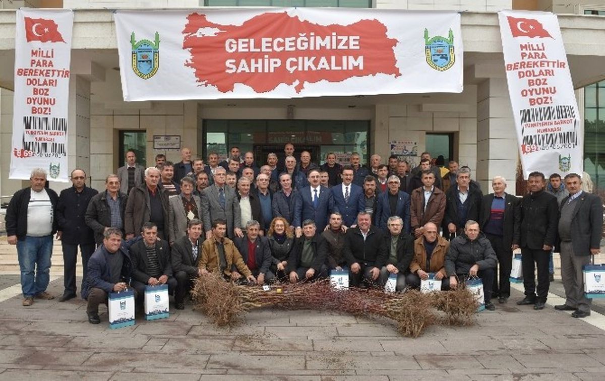 Çiftçilere Badem Fidanı Dağıtıldı