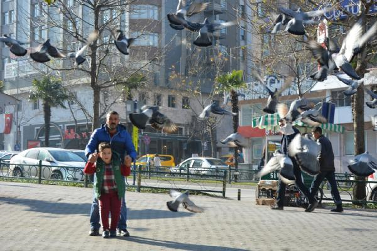 Berat\'ın Tek Hayali Yürümek