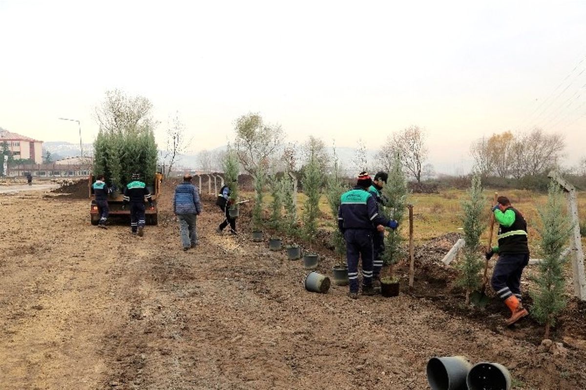 Başiskele\'de 1 Yılda 5 Bin Adet Ağaç Toprakla Buluştu