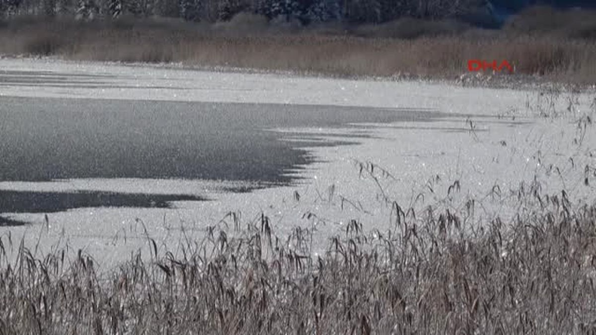 Bolu Abant Gölü Buz Tuttu