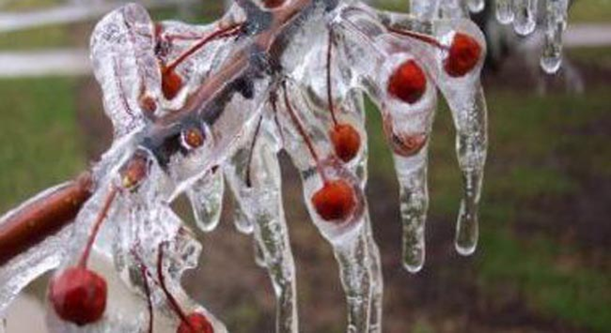 Meteorolojiden "Zirai Don" Uyarı