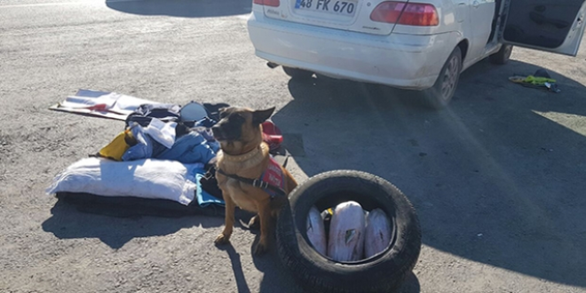 Narkotik Köpeği Çıtır\'ı Acı Biber Bile Yanıltamadı