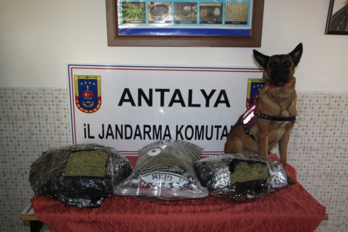 Salçalı Uyuşturucu Kaçakçılığına \'Narkotik Çıtır\' Engeli