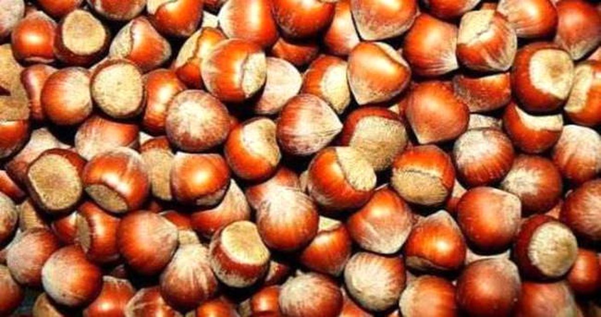 Samsun Ticaret Borsası