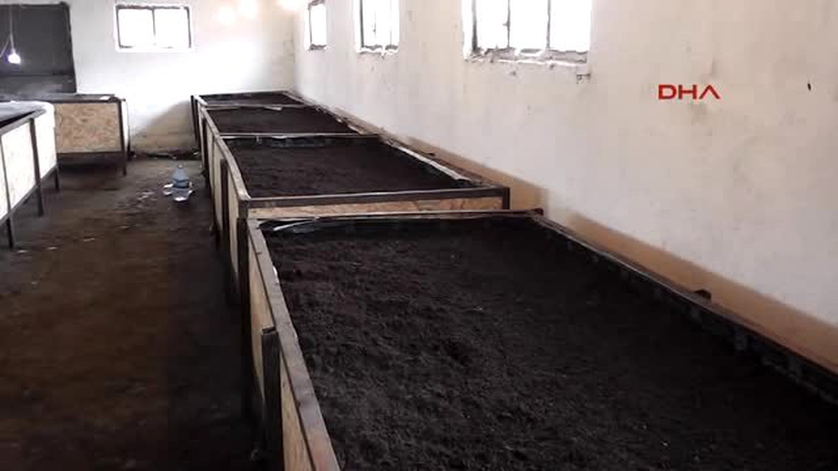 Solucanlarla Organik Gübre Üretiyorlar