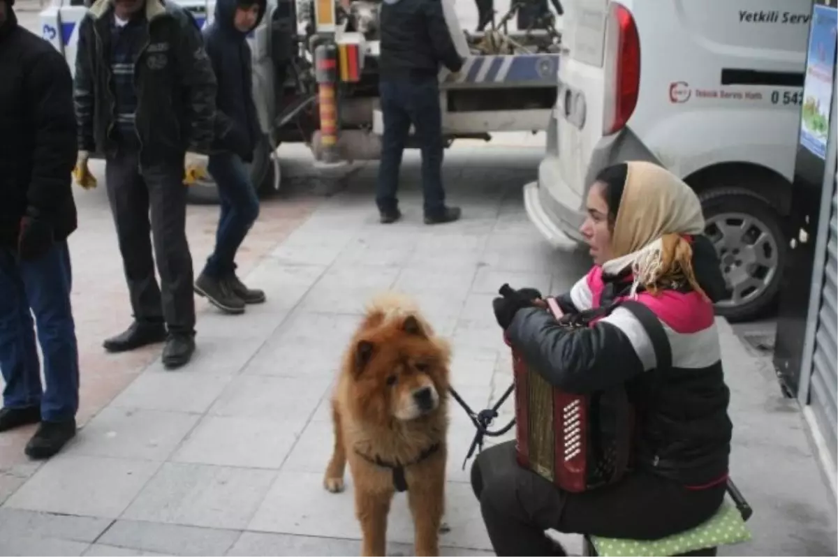 Bolulular Romanyalı Kadının Müzikleriyle Isındı