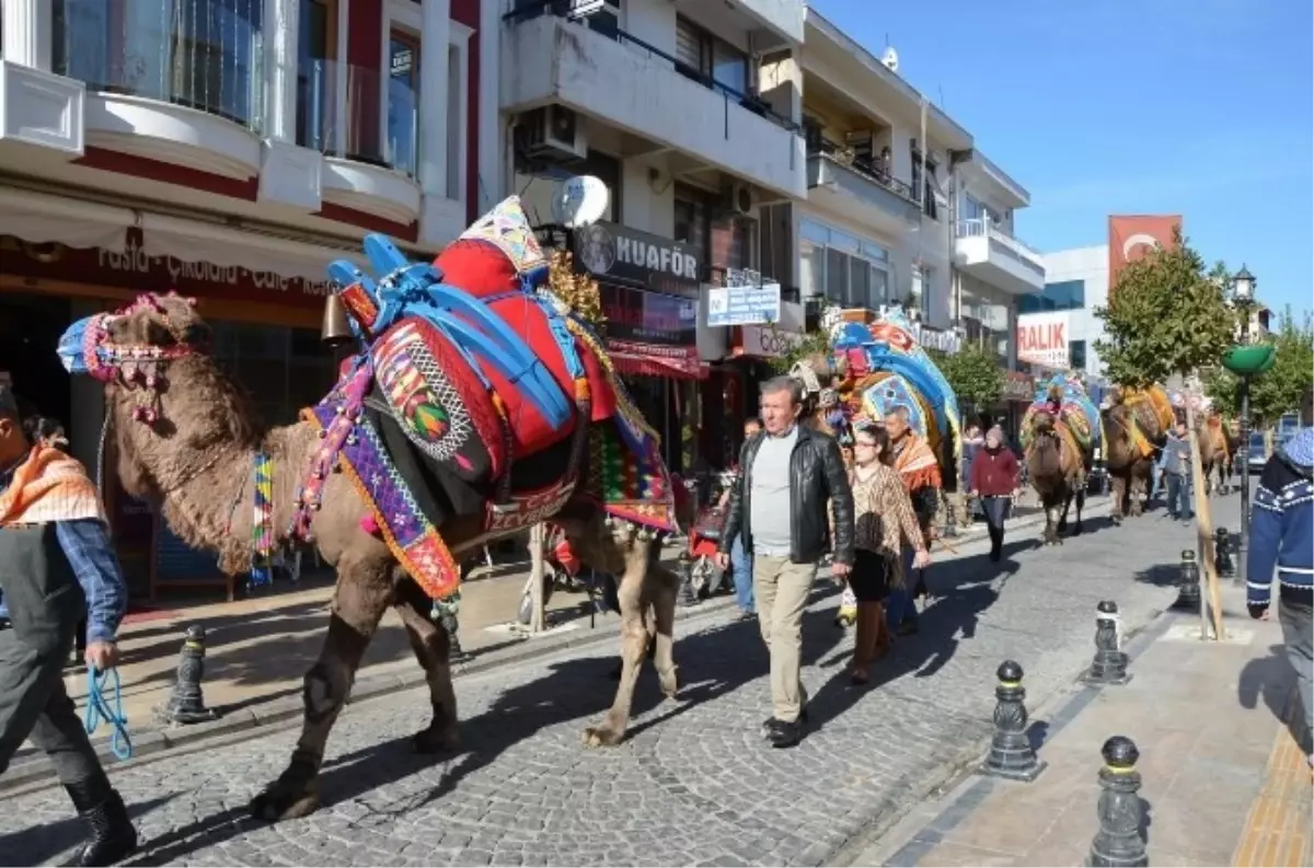 Develer Milas\'ta Şehir Turuna Çıktı