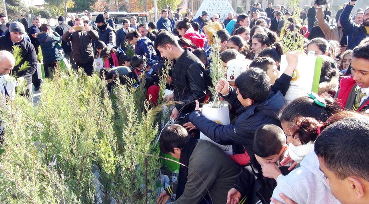 Şanlıurfa\'da Ücretsiz Fidan Dağıtımında İzdiham
