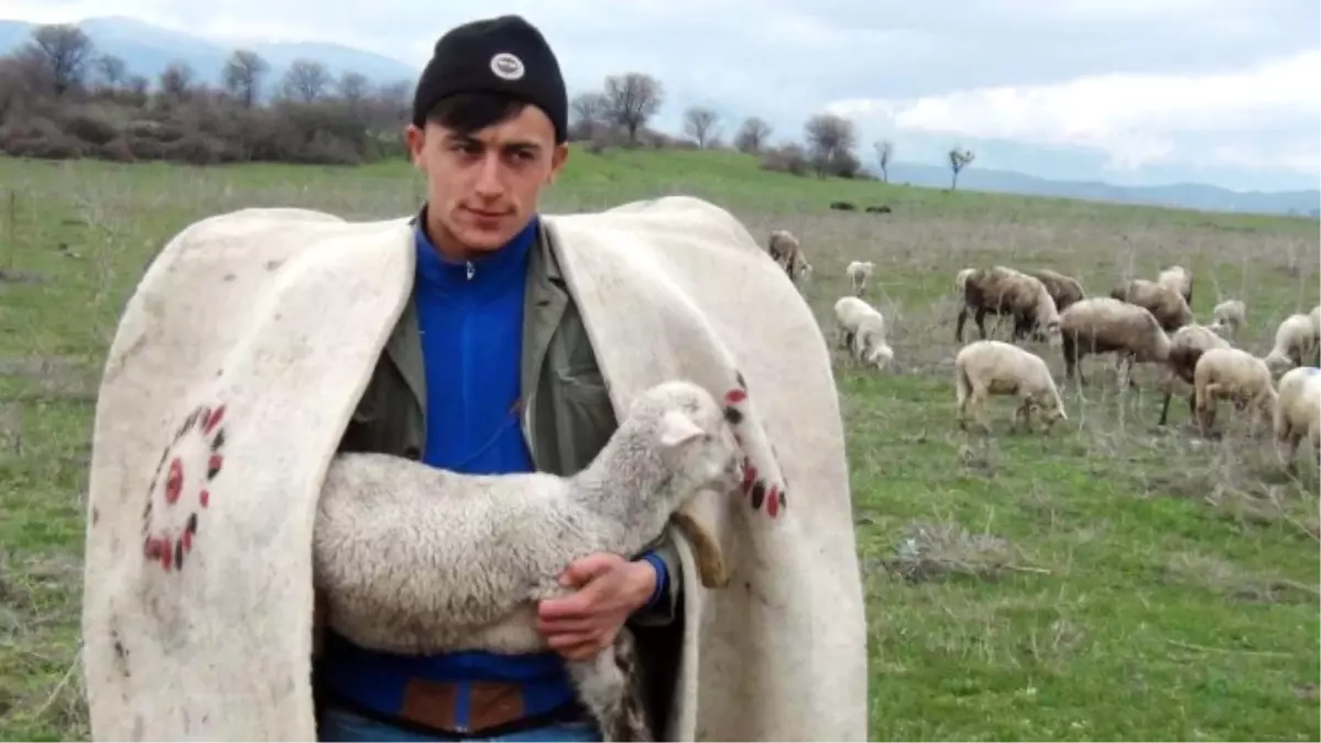 Türkiye\'de İlk Kez Çobanlar İçin Fuar Düzenlenecek