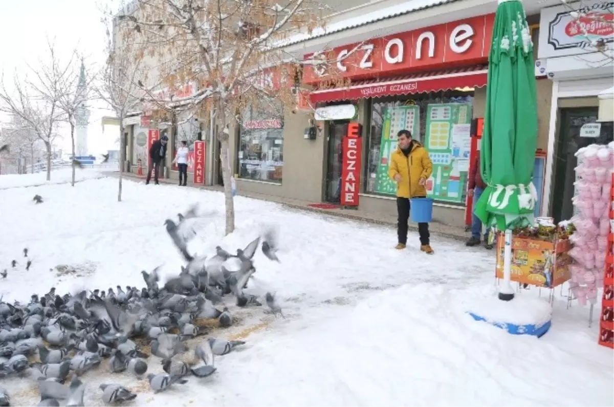 Bozüyük\'te Kuşlar İçin Yem Bırakıldı