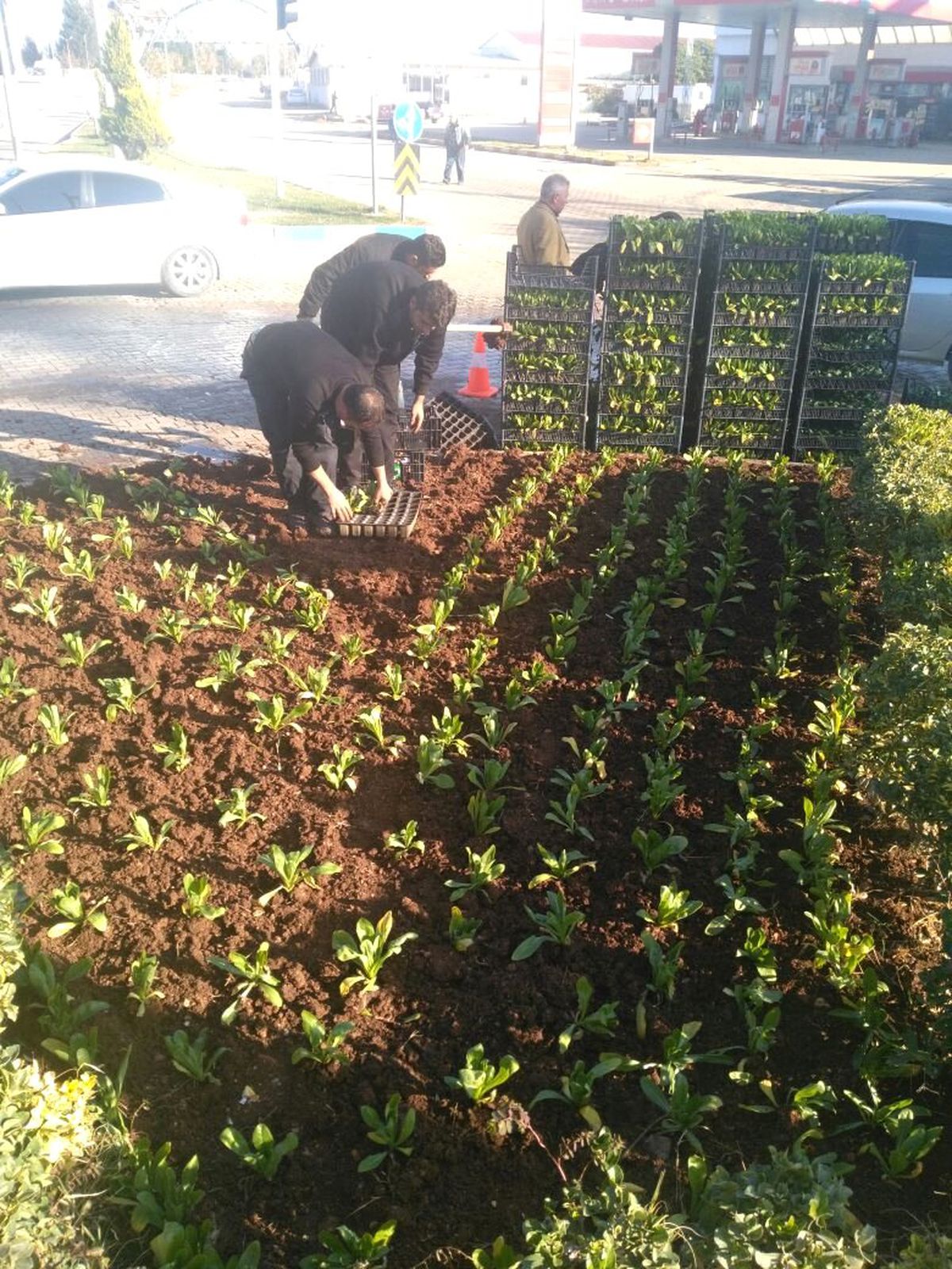 Hatay\'in Tüm İlçelerİ Rengârenk