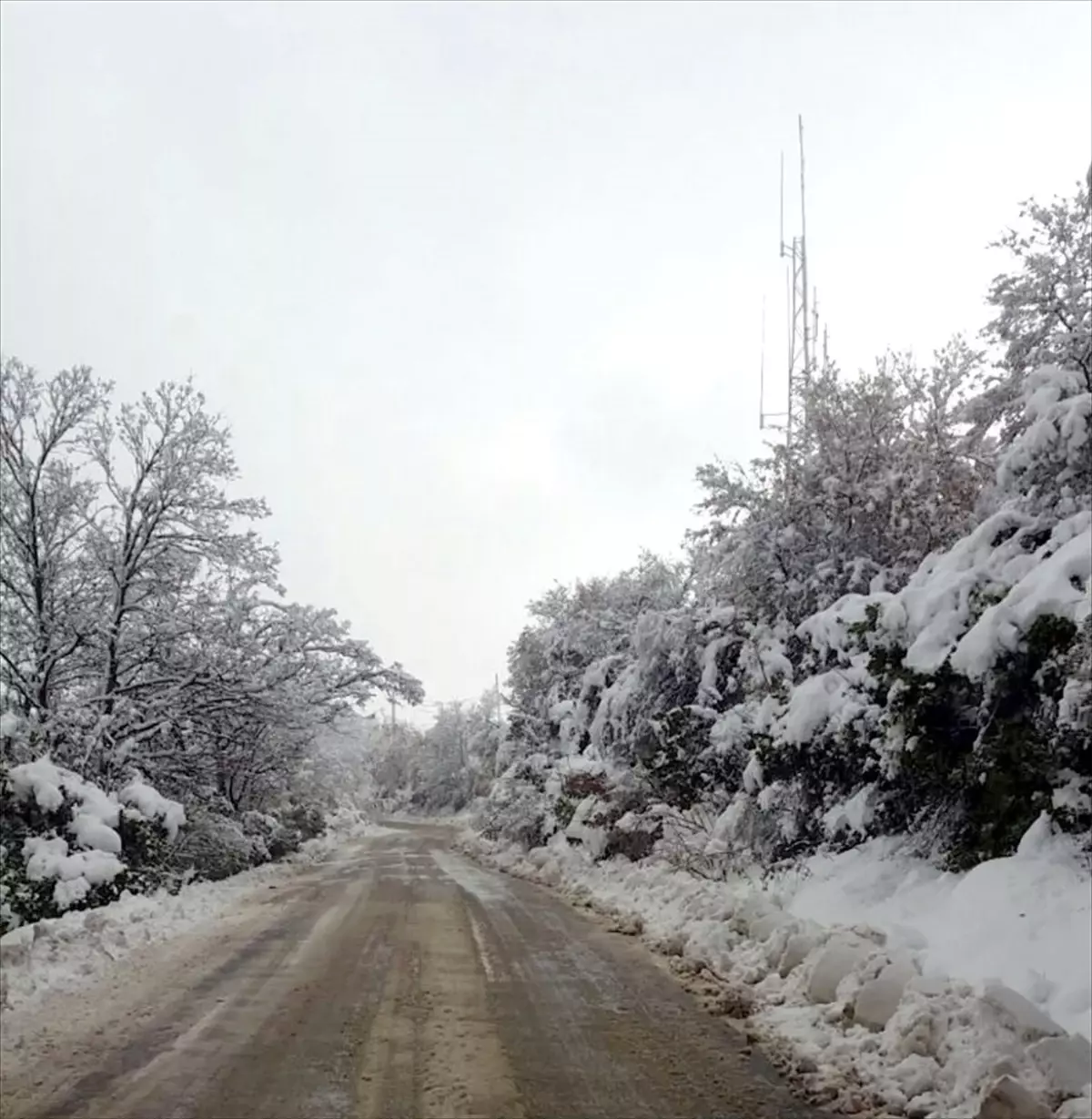 Karamürsel\'de Kış