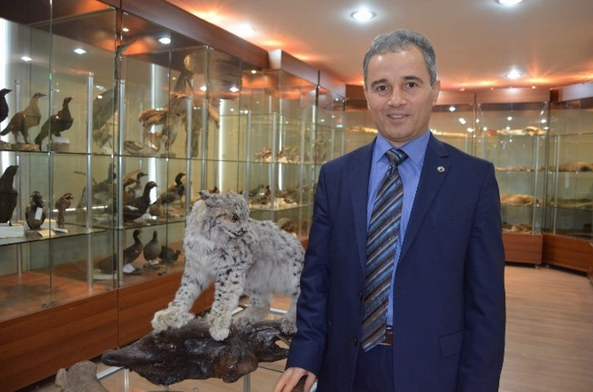 Prof. Dr. Başkaya: "Kış Mevsiminde Yabani Hayvanların Yemlenmesi Devlet Kontrolünde Yapılmalı"
