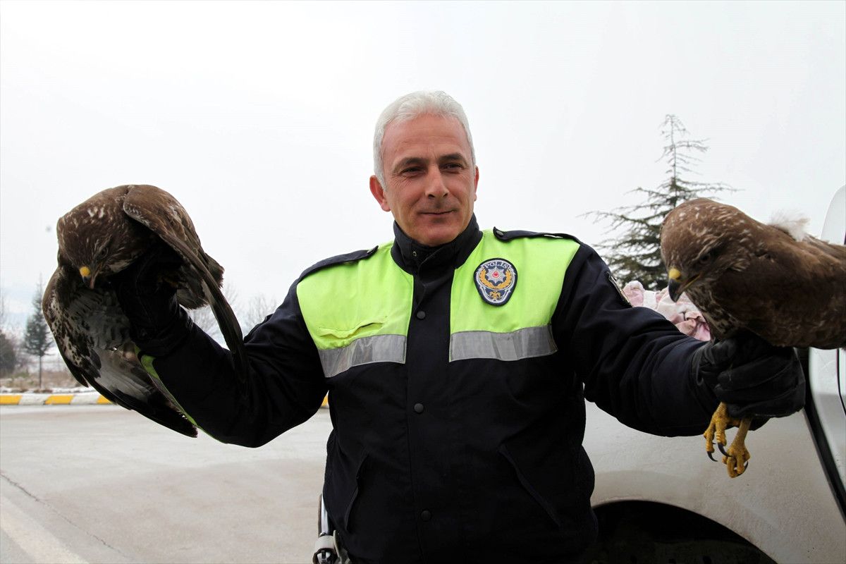 Yaralı Şahinlere Polis Eli