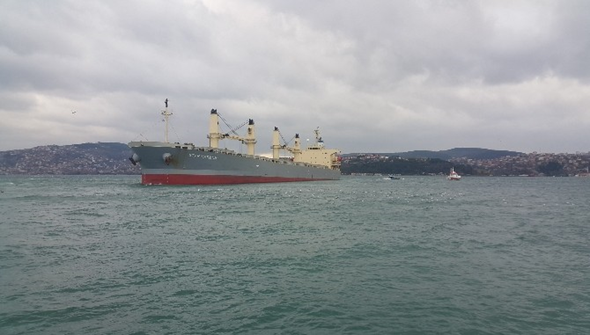 Yük Gemisi Boğaz\'da Yalılara Metreler Kala Karaya Oturdu