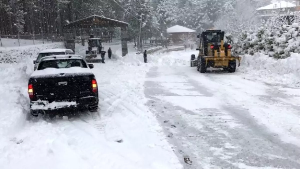 Alanya\'da Karla Mücadele