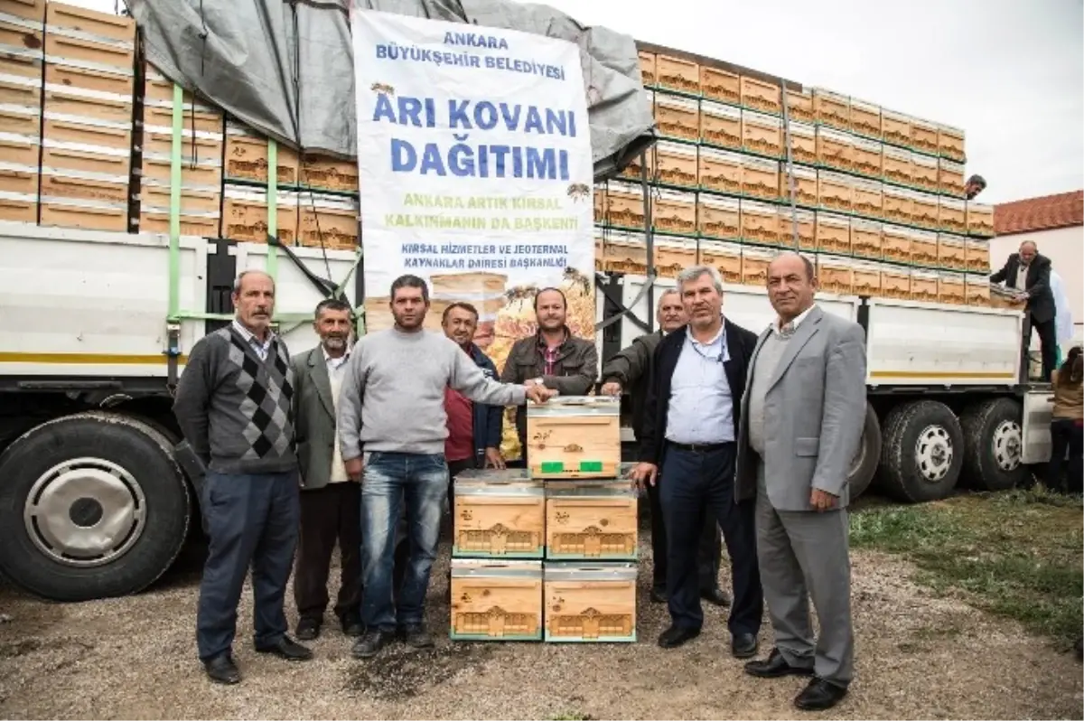 Ankara Büyükşehir Belediyesi 2017\'de Üreticilere 4 Bin Arı Kovanı Dağıtacak