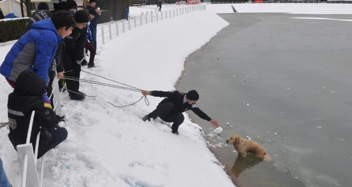 Buz Tutan Gölete Düşen Köpeği Böyle Kurtardılar