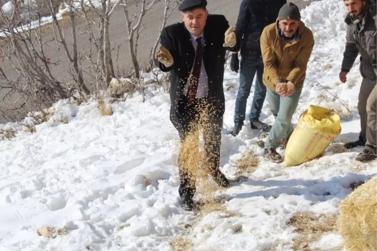 Çemişgezek\'te Doğaya Yem Bırakıldı