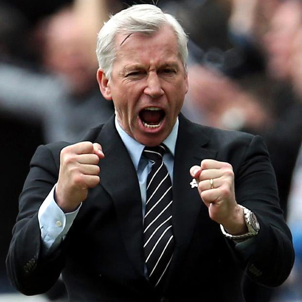 Crystal Palace, Alan Pardew\'ün Görevine Son Verdi