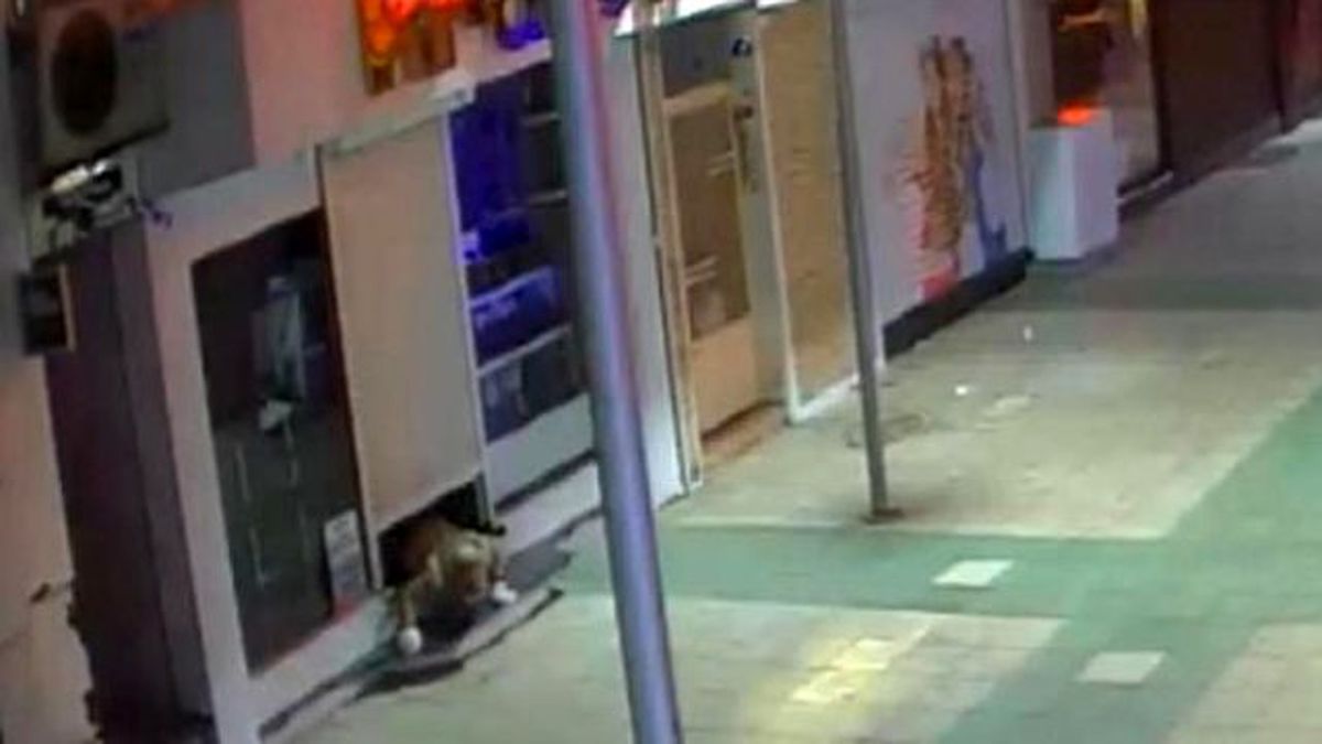 Hırsız Yakalanmamak İçin Kamera Sistemini de Çaldı