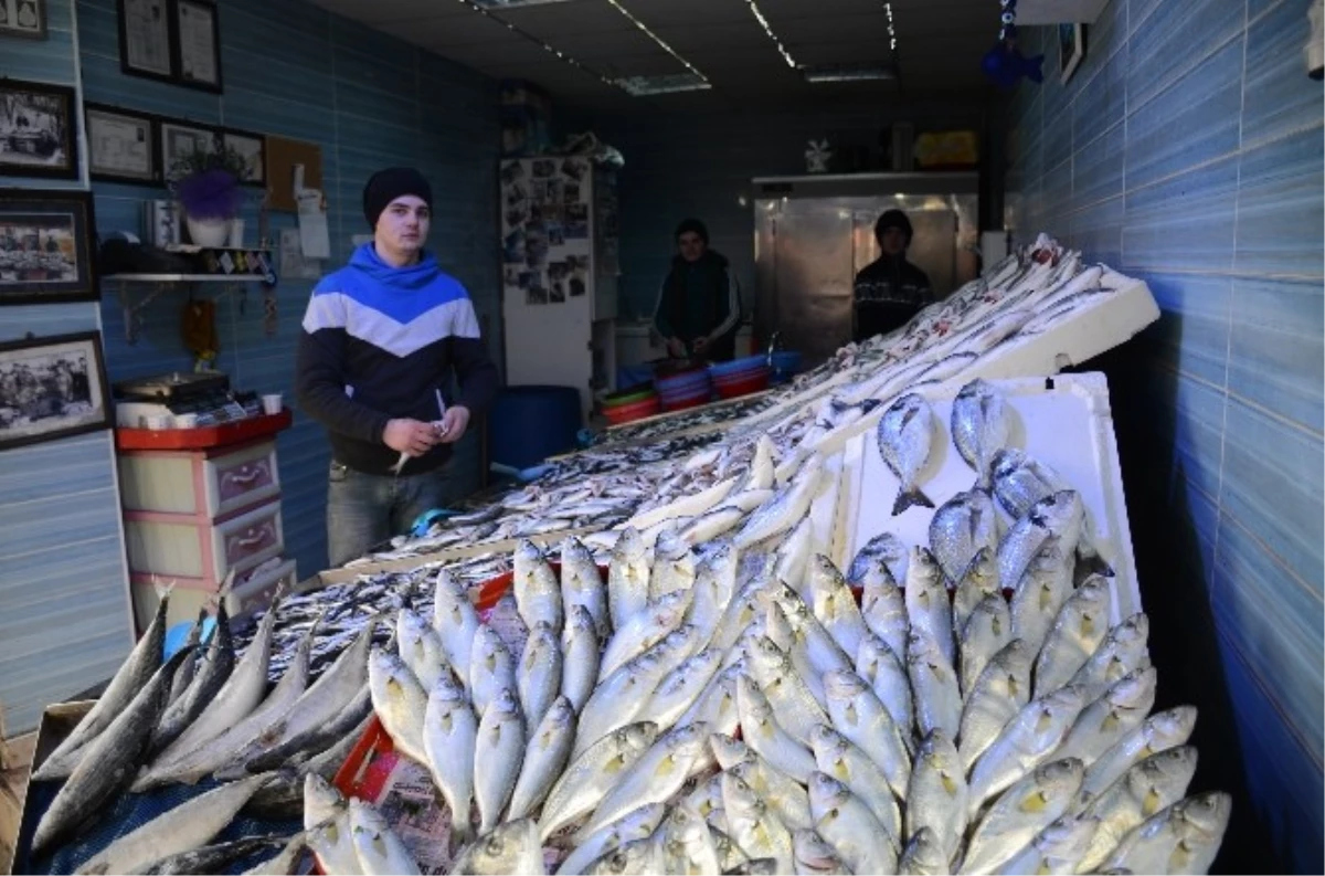 Karın Yağmasıyla Bilecik\'te Balık Fiyatları Düştü