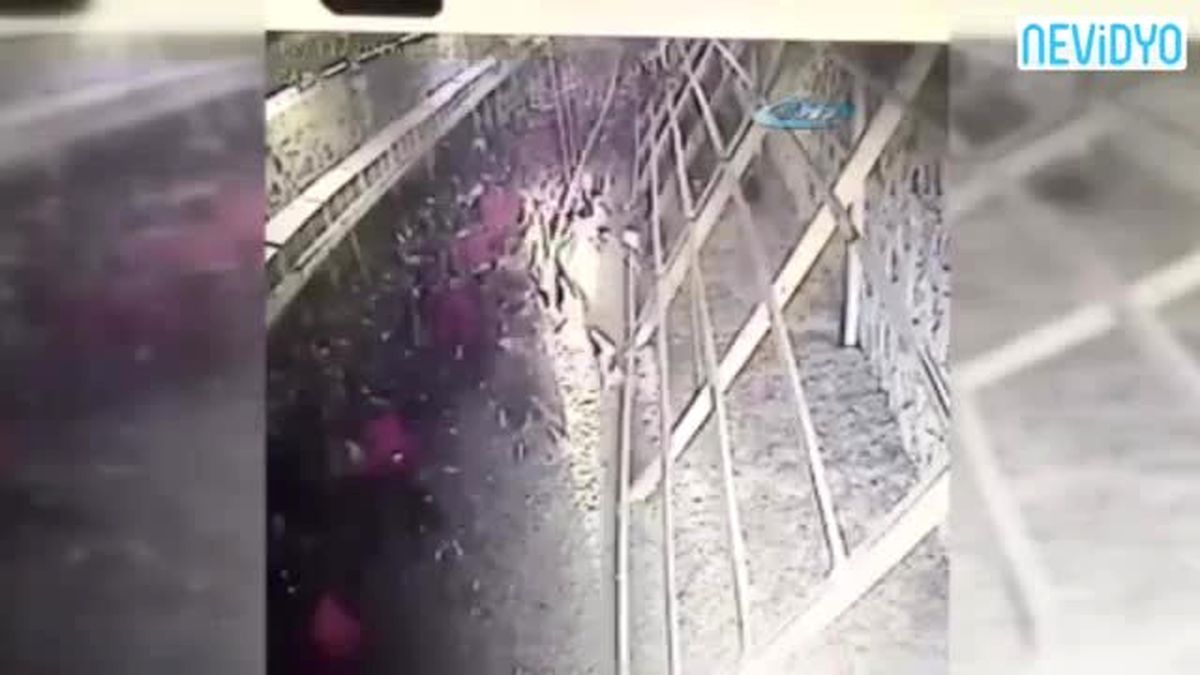 Tavuklar Kümese Giren Tilkiyi Kovaladı