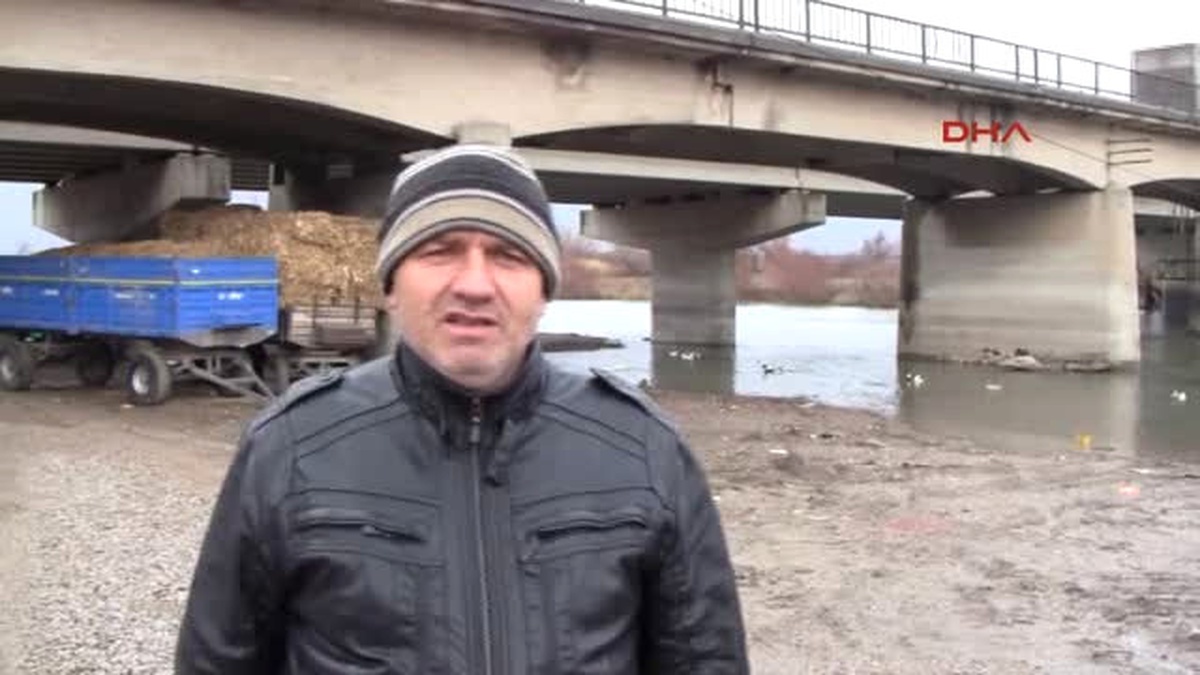 Uluabat\'ta 123 Tavuk, Yalancı Veba Hastalığına Karşı Toplandı