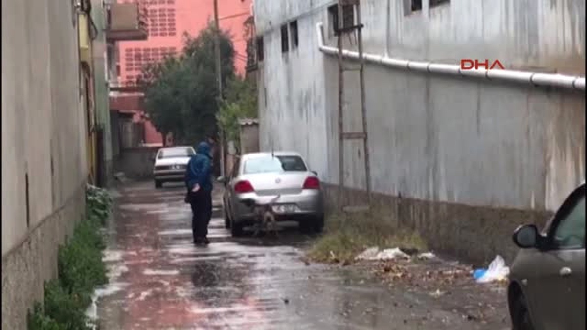 Adana Bombayı Köpek \'Lili\' Kokluyor