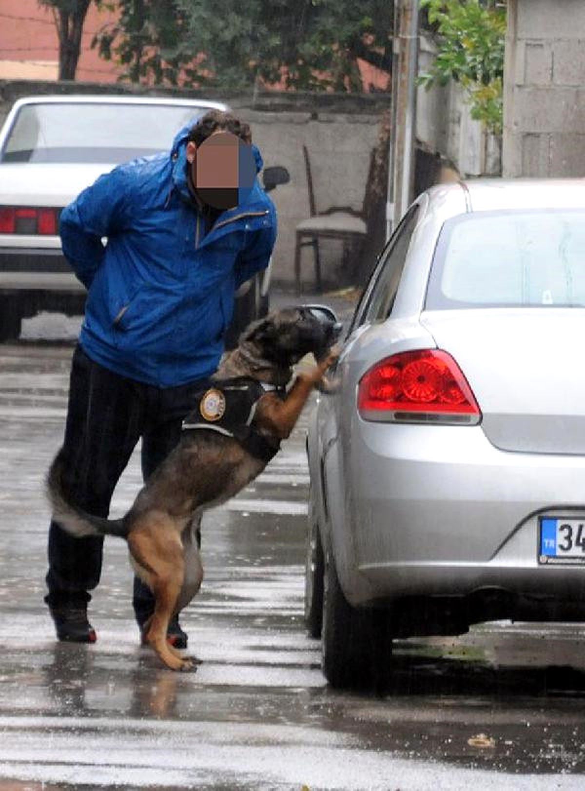 Bombayı Köpek \'Lili\' Kokluyor
