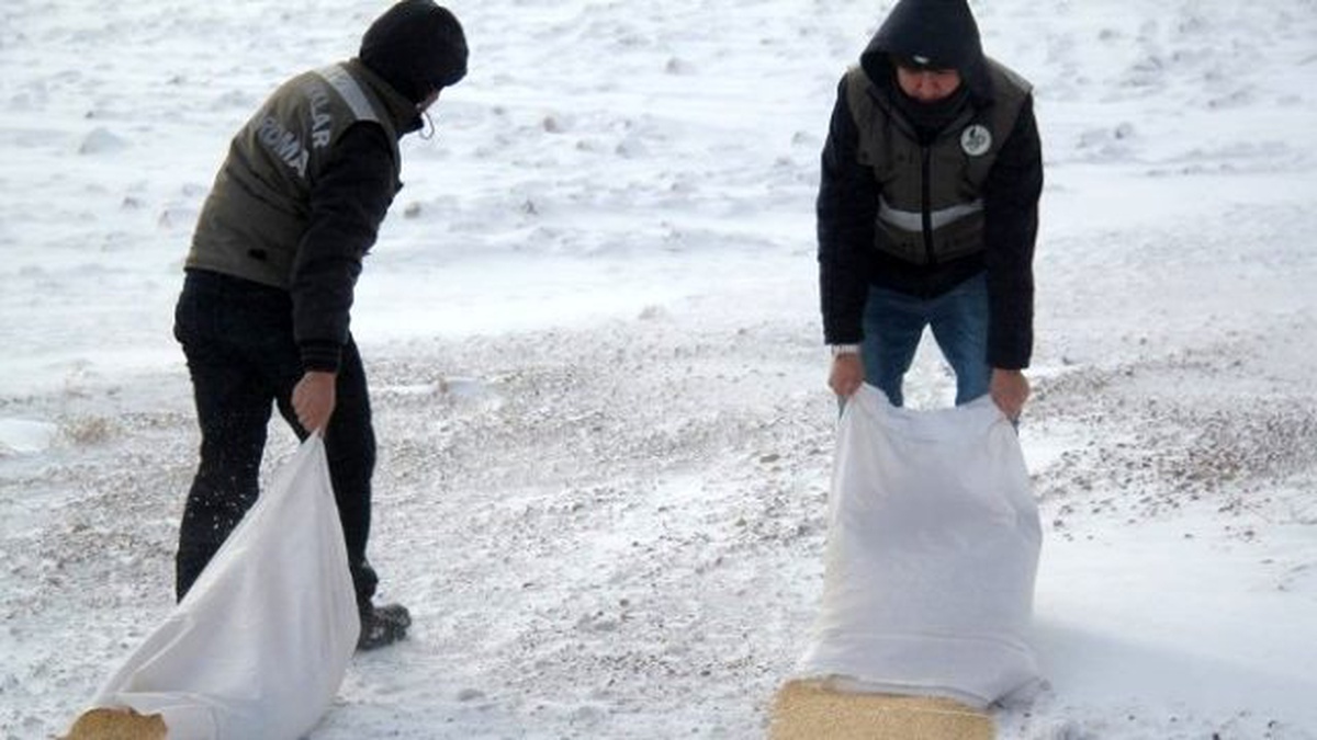 Çocuklar, Belediye Çalışanlarıyla Hayvanlara Yem Bıraktı